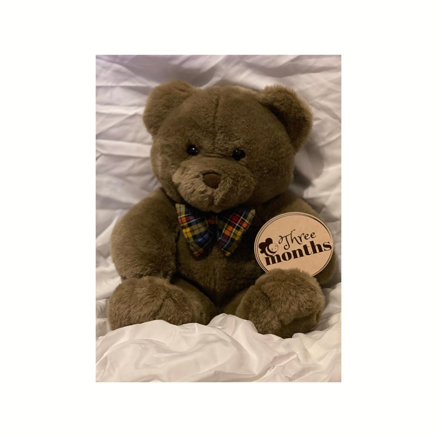 Baby Milestone Markers (Pack of 12)