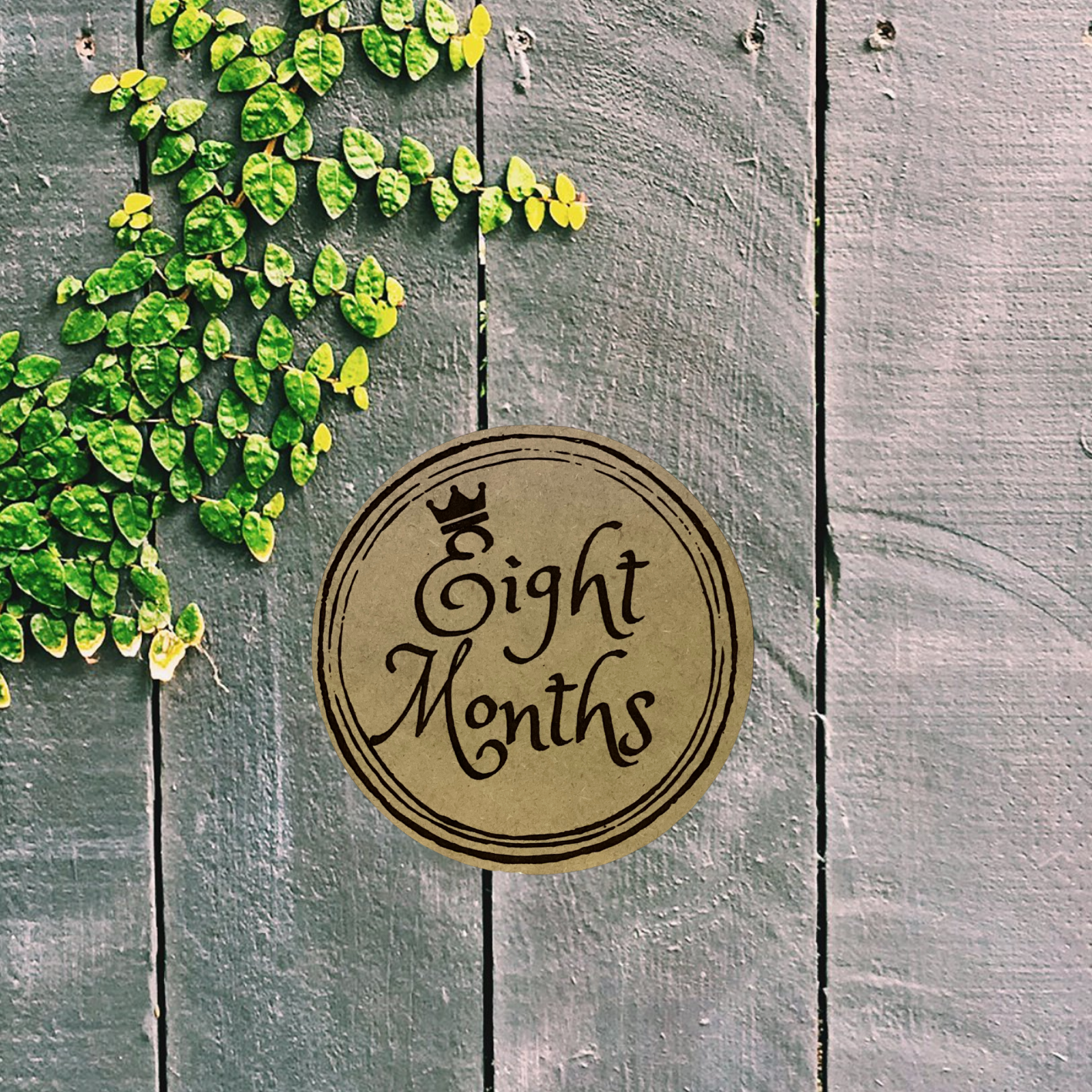 Baby Milestone Markers (Pack of 12)